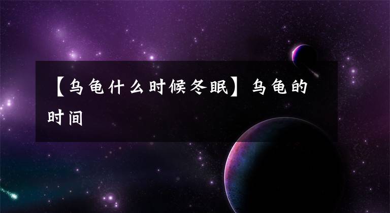 【乌龟什么时候冬眠】乌龟的时间