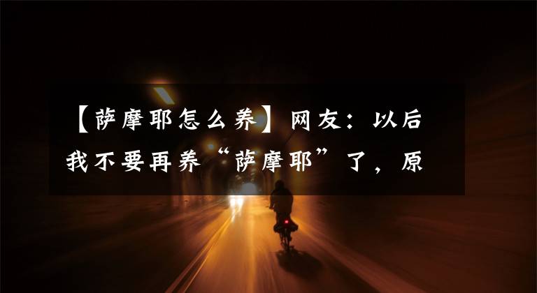 【萨摩耶怎么养】网友：以后我不要再养“萨摩耶”了，原因有6个