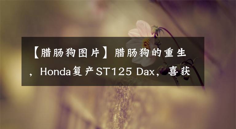 【腊肠狗图片】腊肠狗的重生，Honda复产ST125 Dax，喜获多项升级