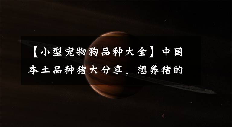 【小型宠物狗品种大全】中国本土品种猪大分享，想养猪的看过来，总有适合你养的品种