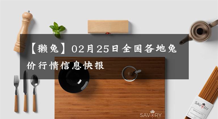 【獭兔】02月25日全国各地兔价行情信息快报