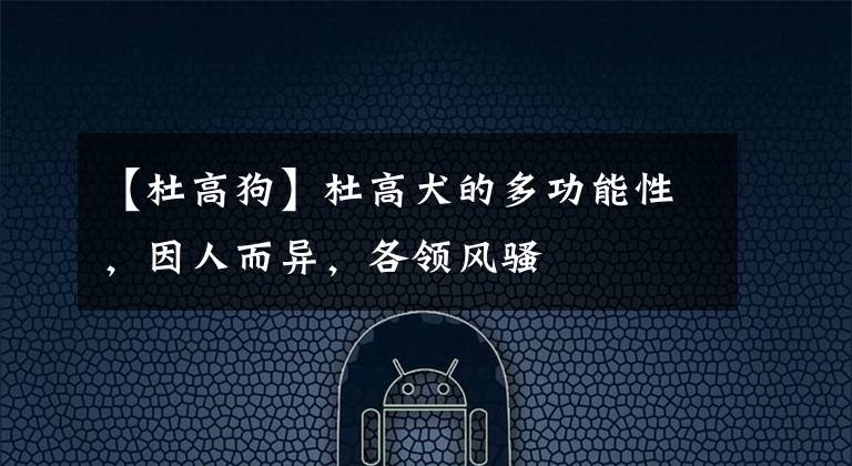 【杜高狗】杜高犬的多功能性，因人而异，各领风骚