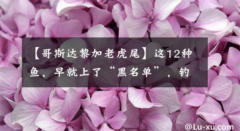 【哥斯达黎加老虎尾】这12种鱼，早就上了“黑名单”，钓到了不要再放了