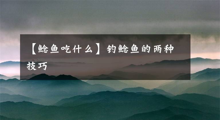 【鲶鱼吃什么】钓鲶鱼的两种技巧