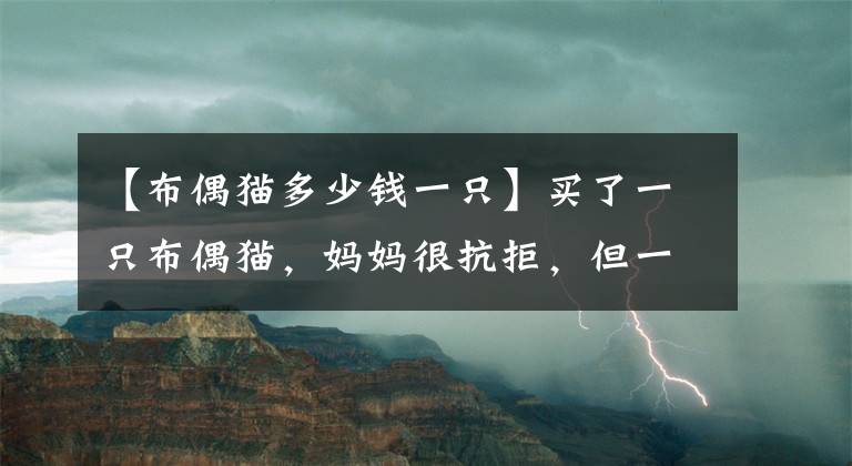 【布偶猫多少钱一只】买了一只布偶猫，妈妈很抗拒，但一听价格妈妈竟说……
