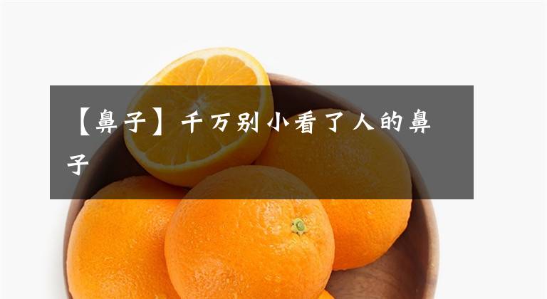 【鼻子】千万别小看了人的鼻子