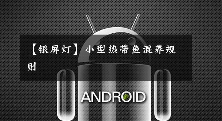 【银屏灯】小型热带鱼混养规则