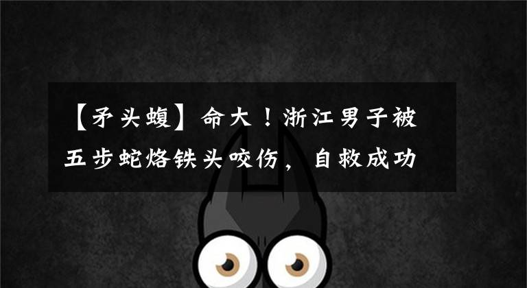 【矛头蝮】命大！浙江男子被五步蛇烙铁头咬伤，自救成功，它的毒性有多强？