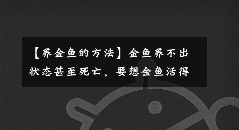【养金鱼的方法】金鱼养不出状态甚至死亡，要想金鱼活得久，请别忽略以下常识