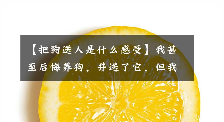 【把狗送人是什么感受】我甚至后悔养狗，并送了它，但我舍不得！