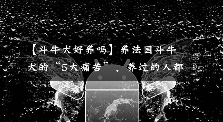 【斗牛犬好养吗】养法国斗牛犬的“5大痛苦”，养过的人都知道！