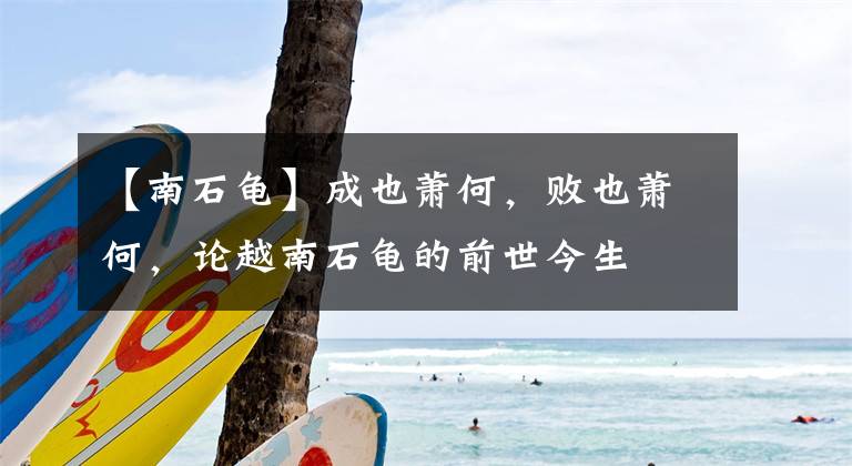 【南石龟】成也萧何，败也萧何，论越南石龟的前世今生