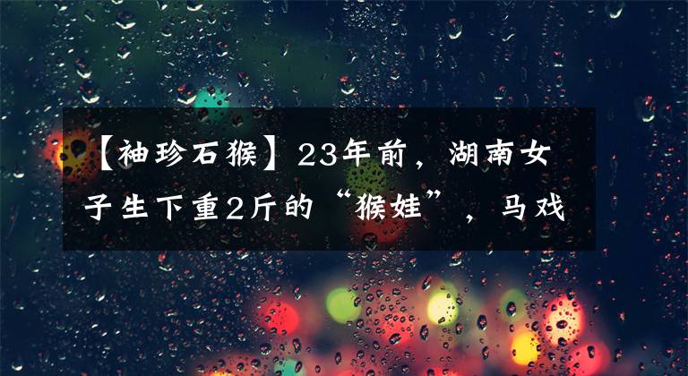 【袖珍石猴】23年前，湖南女子生下重2斤的“猴娃”，马戏团出价5万求购被拒