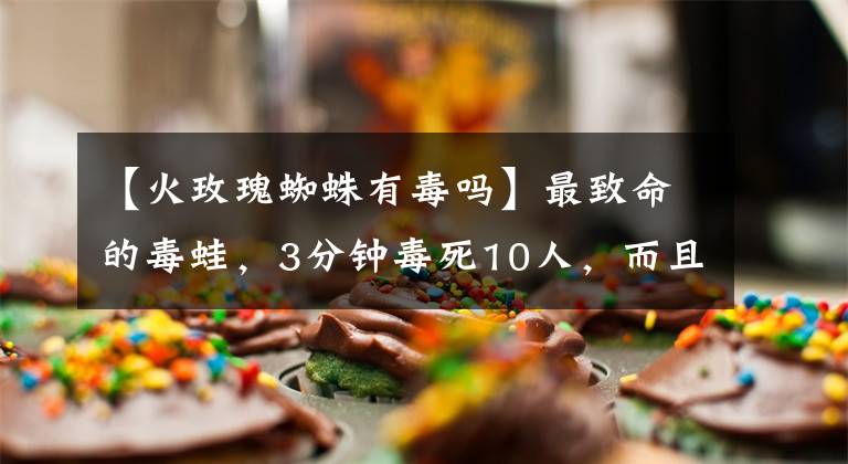 【火玫瑰蜘蛛有毒吗】最致命的毒蛙,3分钟毒死10人,而且它的毒没有解药