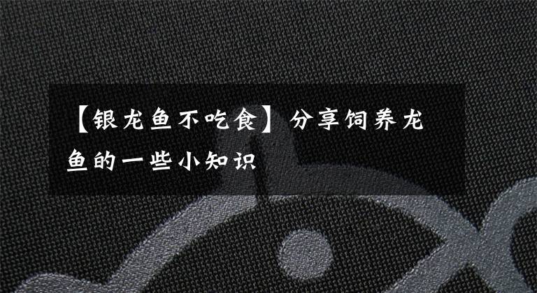 【银龙鱼不吃食】分享饲养龙鱼的一些小知识