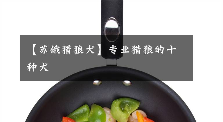 【苏俄猎狼犬】专业猎狼的十种犬