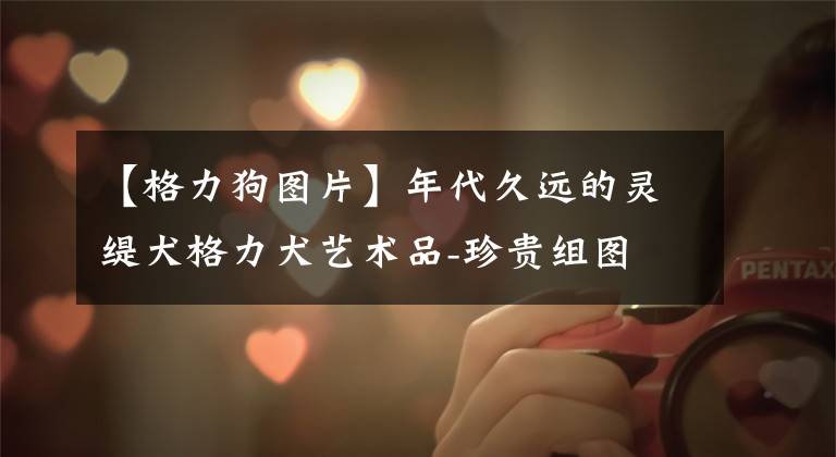 【格力狗图片】年代久远的灵缇犬格力犬艺术品-珍贵组图