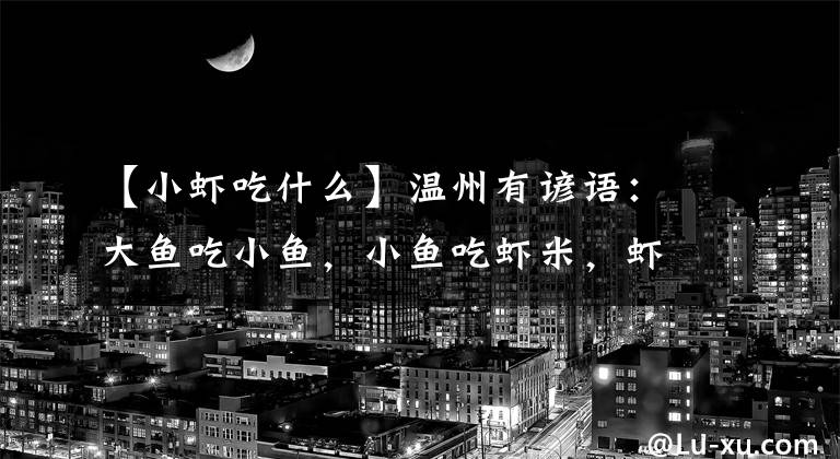 【小虾吃什么】温州有谚语：大鱼吃小鱼，小鱼吃虾米，虾米吃虾虮，虾虮吃烂泥