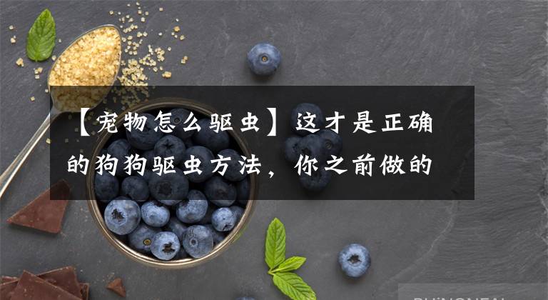 【宠物怎么驱虫】这才是正确的狗狗驱虫方法,你之前做的可能全错了