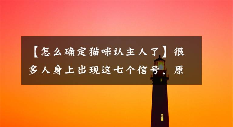 【怎么确定猫咪认主人了】很多人身上出现这七个信号，原因是养了猫