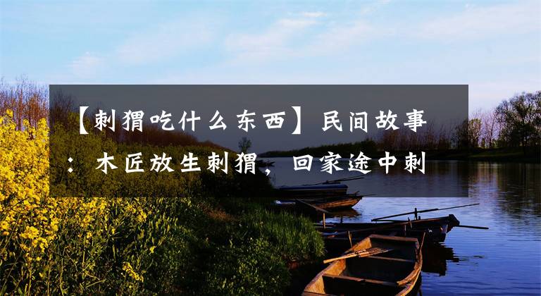 【刺猬吃什么东西】民间故事:木匠放生刺猬,回家途中刺猬托梦:到家别喝水