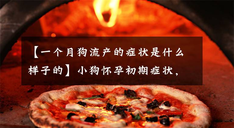 【一个月狗流产的症状是什么样子的】小狗怀孕初期症状,分娩注意事项