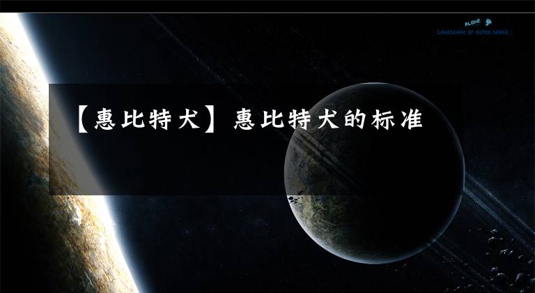 【惠比特犬】惠比特犬的标准