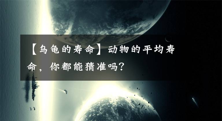【乌龟的寿命】动物的平均寿命，你都能猜准吗？