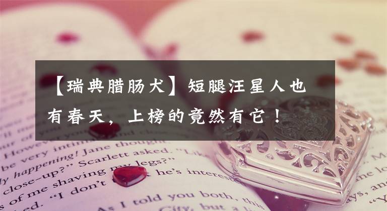 【瑞典腊肠犬】短腿汪星人也有春天,上榜的竟然有它!