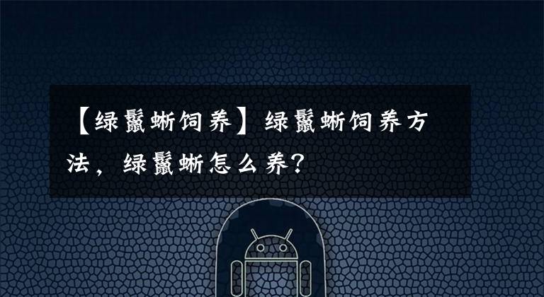 【绿鬣蜥饲养】绿鬣蜥饲养方法，绿鬣蜥怎么养？