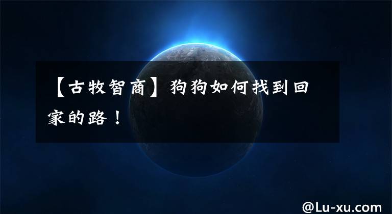 【古牧智商】狗狗如何找到回家的路！
