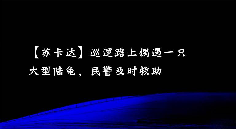 【苏卡达】巡逻路上偶遇一只大型陆龟，民警及时救助