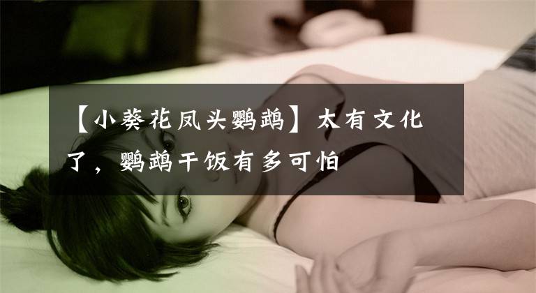 【小葵花凤头鹦鹉】太有文化了，鹦鹉干饭有多可怕