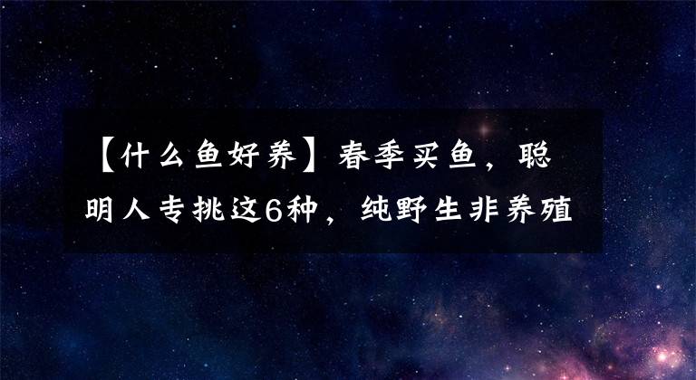【什么鱼好养】春季买鱼，聪明人专挑这6种，纯野生非养殖，营养鲜美又好吃