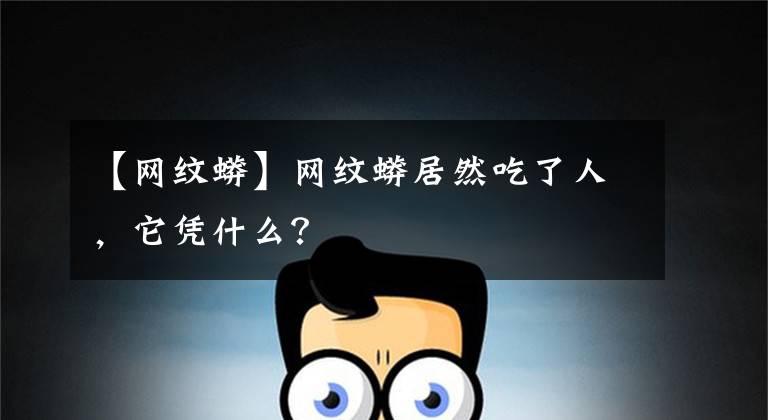 【网纹蟒】网纹蟒居然吃了人，它凭什么？