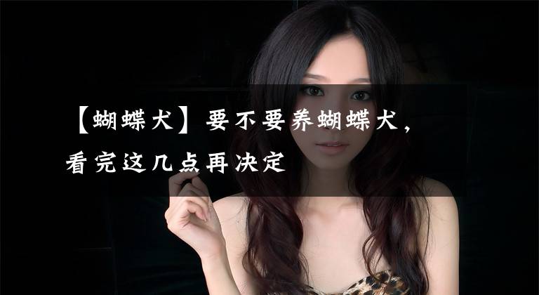 【蝴蝶犬】要不要养蝴蝶犬,看完这几点再决定