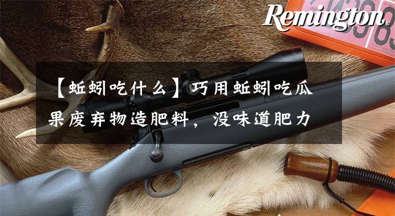 【蚯蚓吃什么】巧用蚯蚓吃瓜果废弃物造肥料，没味道肥力强阳台植物长超好