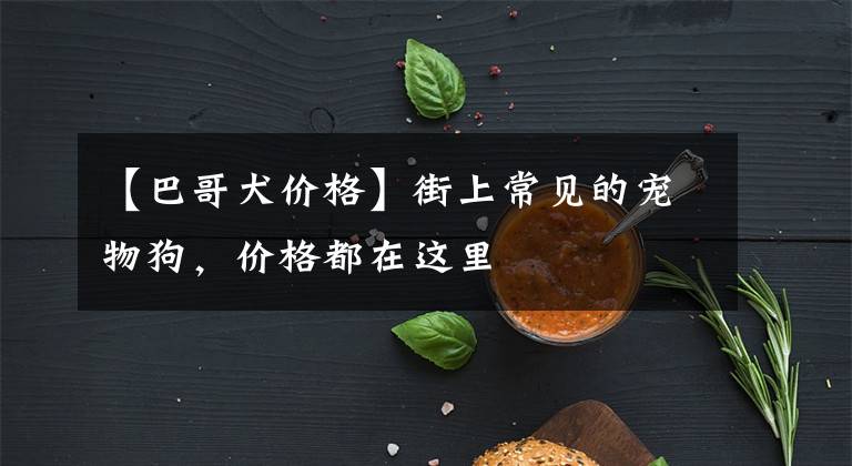 【巴哥犬价格】街上常见的宠物狗，价格都在这里