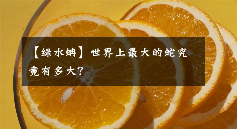 【绿水蚺】世界上最大的蛇究竟有多大?