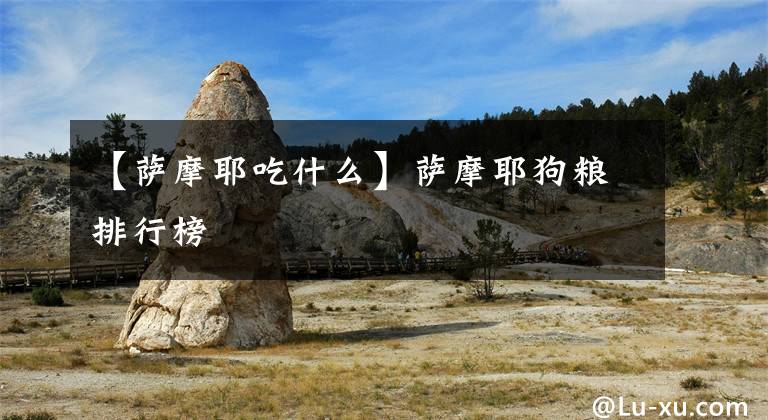 【萨摩耶吃什么】萨摩耶狗粮排行榜