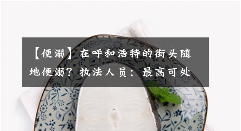 【便溺】在呼和浩特的街头随地便溺？执法人员：最高可处罚1000元罚款