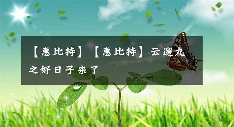 【惠比特】【惠比特】云遛丸之好日子来了