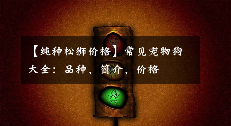 【纯种松狮价格】常见宠物狗大全:品种,简介,价格