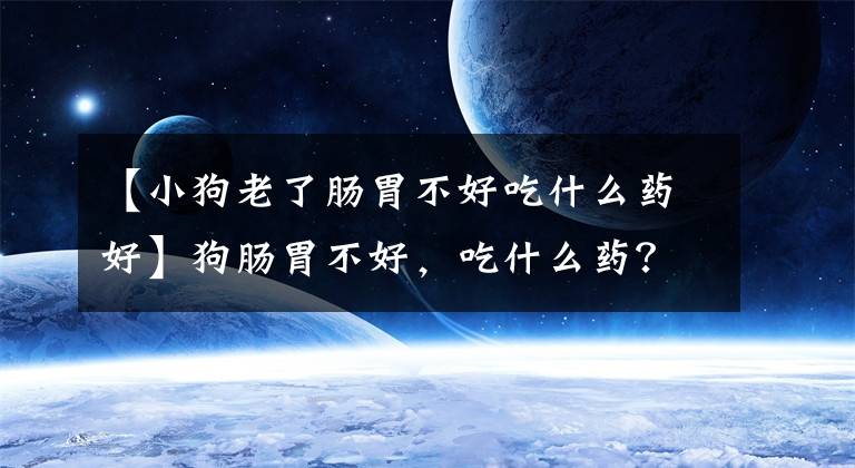 【小狗老了肠胃不好吃什么药好】狗肠胃不好,吃什么药?