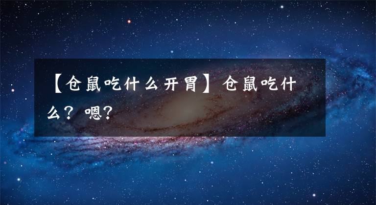 【仓鼠吃什么开胃】仓鼠吃什么？嗯？