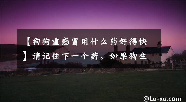 【狗狗重感冒用什么药好得快】请记住下一个药。如果狗生病了,就不会再被医院坑了。