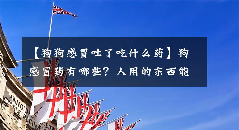 【狗狗感冒吐了吃什么药】狗感冒药有哪些?人用的东西能吃吗?