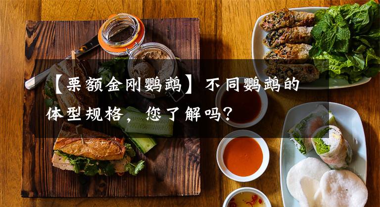 【栗额金刚鹦鹉】不同鹦鹉的体型规格，您了解吗？