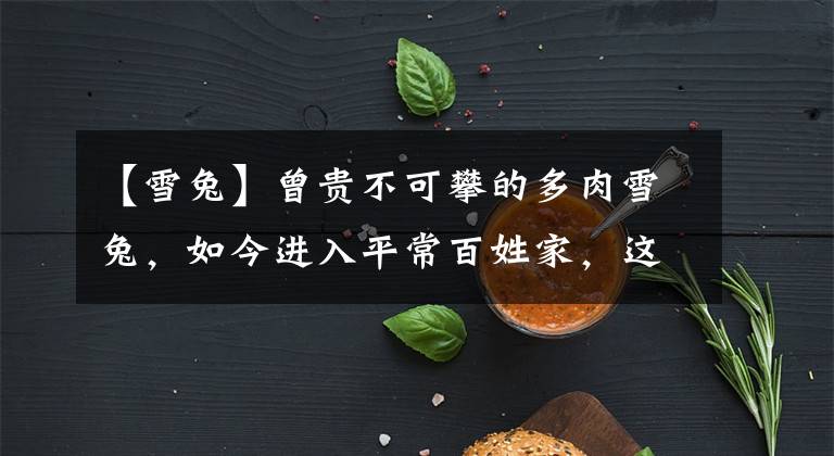 【雪兔】曾贵不可攀的多肉雪兔,如今进入平常百姓家,这是多肉界的幸运
