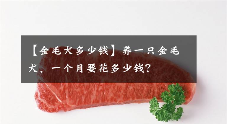 【金毛犬多少钱】养一只金毛犬，一个月要花多少钱？